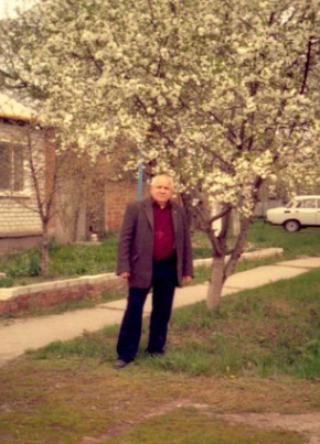 Александр, 71, Россия, Волоконовка
