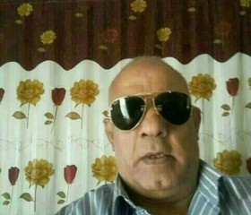 Ahmad  Owais, 65, Alexandria