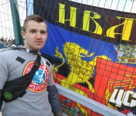 Вячеслав, 29 лет, Курск