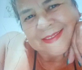 Maria de paula, 62, Erechim