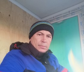 Данил, 45 лет, Алматы