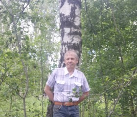 владимир, 63 года, Кстово