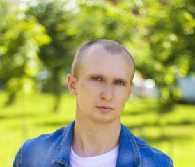 Дмитрий, 27 лет, Железногорск (Курская обл.)