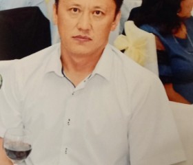 Дулат Сагадиев, 51 год, Астана