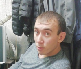 серый, 38 лет, Ульяновск