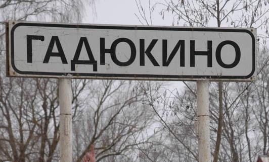 Летием женщине, картинки в деревне гадюкино опять идут дожди