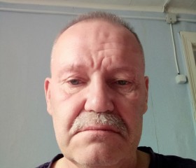 Valdes Karlovich, 61 год, Петрозаводск