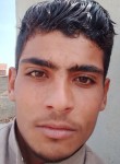 أحمد البطا, 18 лет, القاهرة