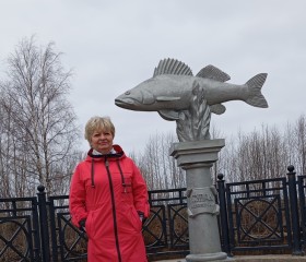 Эльвира, 52 года, Белозёрск