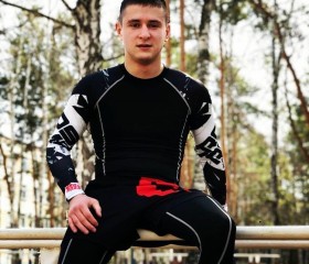Артем, 27 лет, Новосибирск