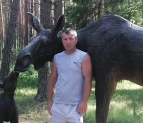 Dmitriy, 47, Smalyavichy