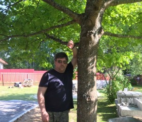Aleksandr, 45, Rybinsk