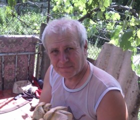 Анатолий, 55 лет, Василівка