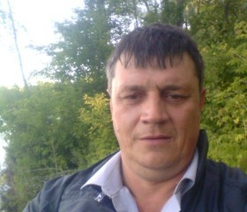 Андрей, 53 года, Димитровград