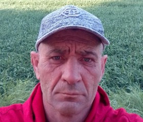 Борис, 53 года, Невинномысск