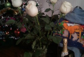 MASTER -ИВАН, 57 - Букет из белых роз