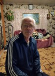 Валерий, 65 лет, Лукоянов