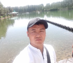 Жеки, 31 год, Бишкек