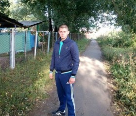 Николай, 29 лет, Омск