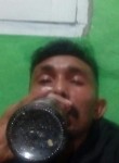 ryo kurniawan, 28 лет, Kota Kupang