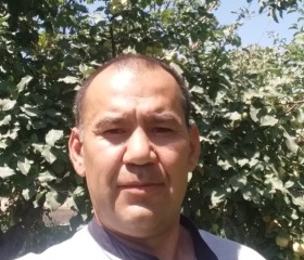 Мадияр, 48 лет, Түркістан