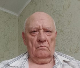 Viktor, 70, Vesele