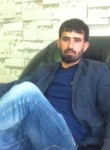 erdal, 33 года, Kızıltepe