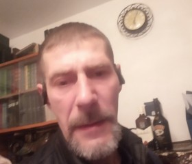 Mantis Religiosa, 46 лет, Москва