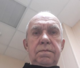 Виктор, 75 лет, Подольск