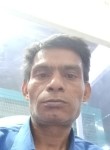 Rajusharma Raju, 42 года, Delhi