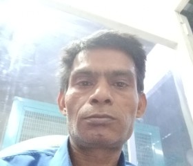 Rajusharma Raju, 42 года, Delhi