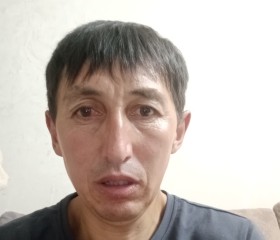 Руслан, 42 года, Шемонаиха
