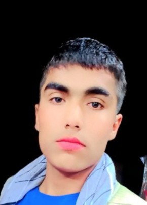 دیوانه مزار, 18, United States of America, Reston