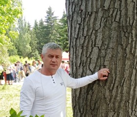 Дмитрий, 47 лет, Кулунда