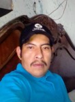 Gus, 35 лет, Puebla de Zaragoza
