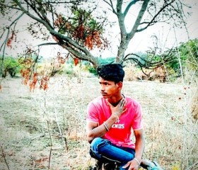 Naresh Gandham, 20 лет, Hyderabad