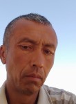 Боходир Улугбоев, 44 года, Toshkent