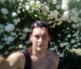 Sergey, 40, Solnechnogorsk