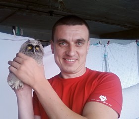 fedot, 46, Pavlovsk (Leningrad)