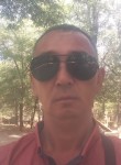 Талгат Танатаров, 52 года, Бишкек