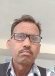 Sanspal, 42 года, New Delhi
