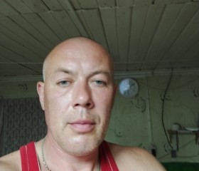 Денис Ефимов, 42 года, Йошкар-Ола