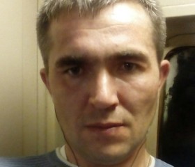 Дмитрий, 42 года, Кингисепп