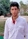 محمد, 25 лет, الإسكندرية
