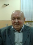 Вячеслав, 75 лет, Гатчина