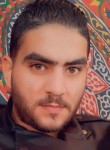 Ahmedhosny , 34 года, المحلة الكبرى