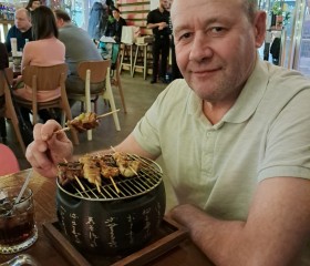 Viktor, 55, Pushkino