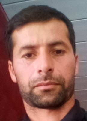 ТИГР, 36, Azərbaycan Respublikası, Saatlı