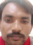 Harish Vinzoda, 31 год, Ahmedabad