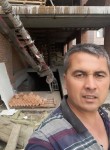 Анвар - Томск